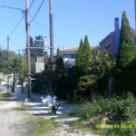 gardencare eidikes ypiresies kallopismos 0