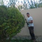 gardencare eidikes ypiresies kallopismos 1