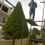 gardencare eidikes ypiresies kallopismos 10