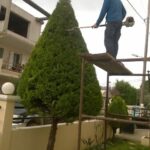 gardencare eidikes ypiresies kallopismos 11