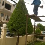 gardencare eidikes ypiresies kallopismos 12