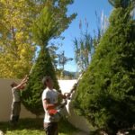 gardencare eidikes ypiresies kallopismos 2