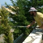 gardencare eidikes ypiresies kallopismos 4