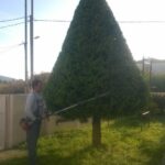 gardencare eidikes ypiresies kallopismos 6 1