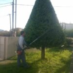 gardencare eidikes ypiresies kallopismos 7