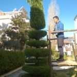 gardencare eidikes ypiresies kallopismos 8