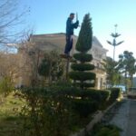 gardencare eidikes ypiresies kallopismos 9