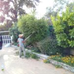 gardencare